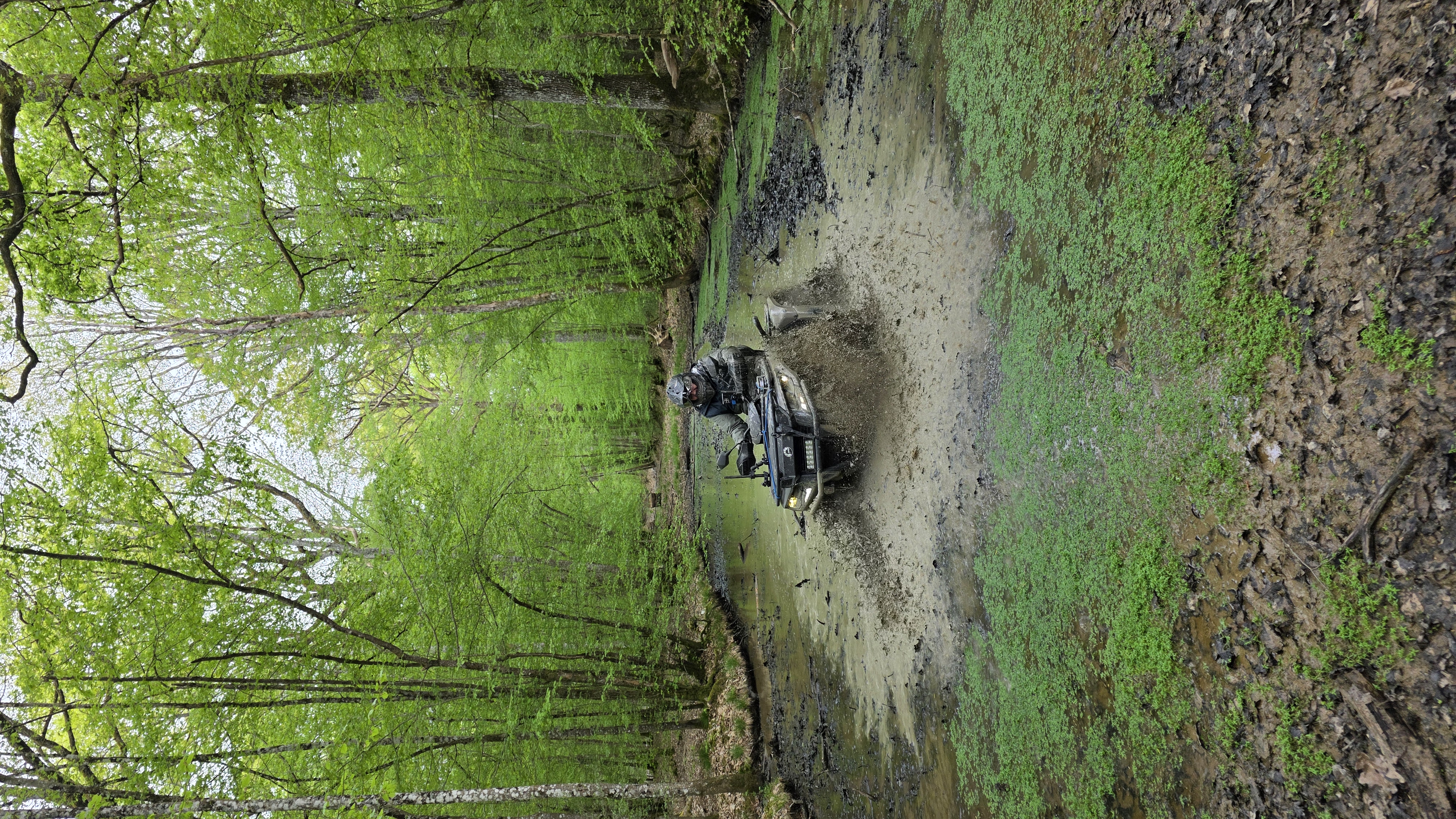 Randonnée quad en forêt française pour propriétaires LQCaventures
